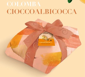 Colomba choklad & aprikos - 1kg